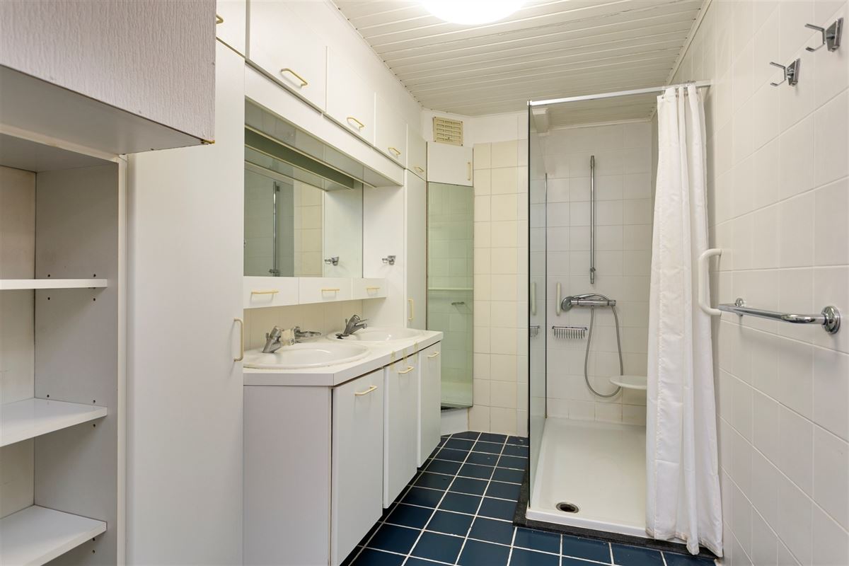 Zeer ruime woning met aangename tuin