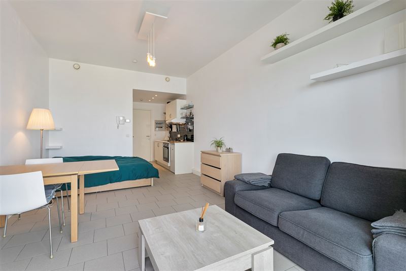 Superleuke studio kortbij AP Hogeschool