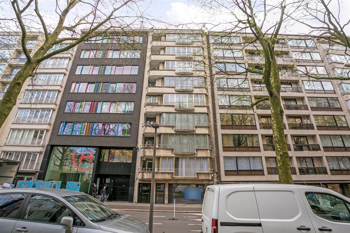 Volledig gerenoveerd handelsgelijkvloers