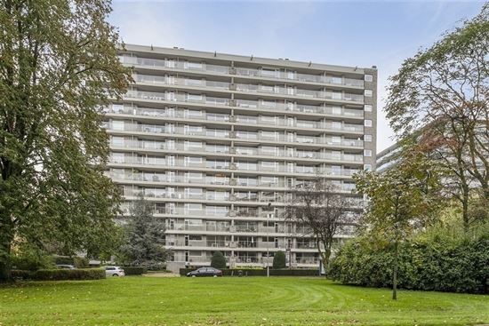 Ruim appartement met terras te Berchem