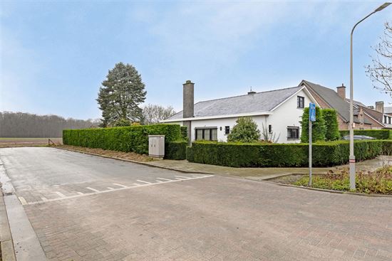 Villa te Edegem met zicht op groen