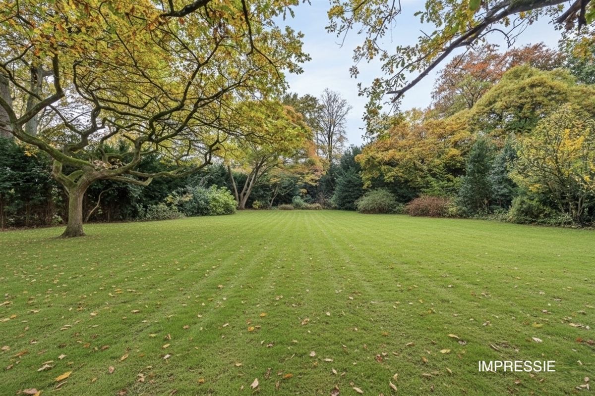 Karaktervolle Villa 1951 met Zuidwestgerichte Tuin
