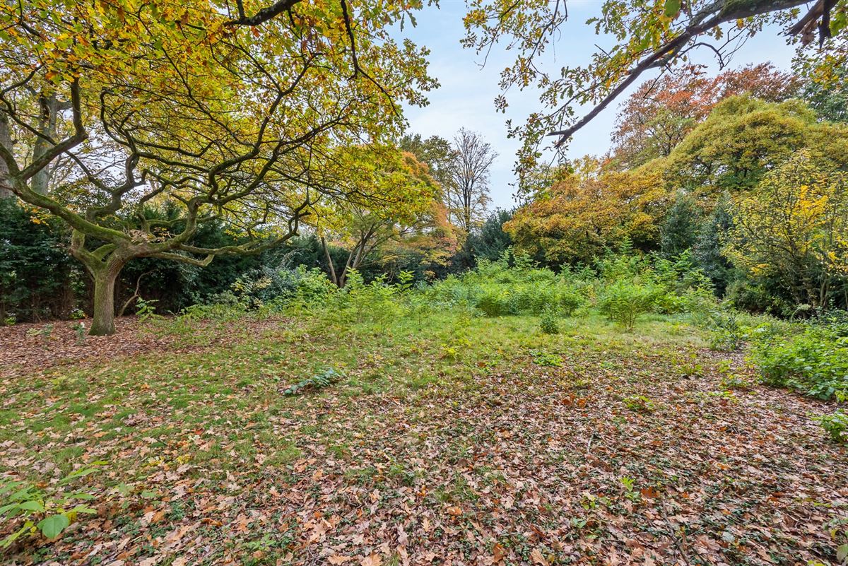 Karaktervolle Villa 1951 met Zuidwestgerichte Tuin