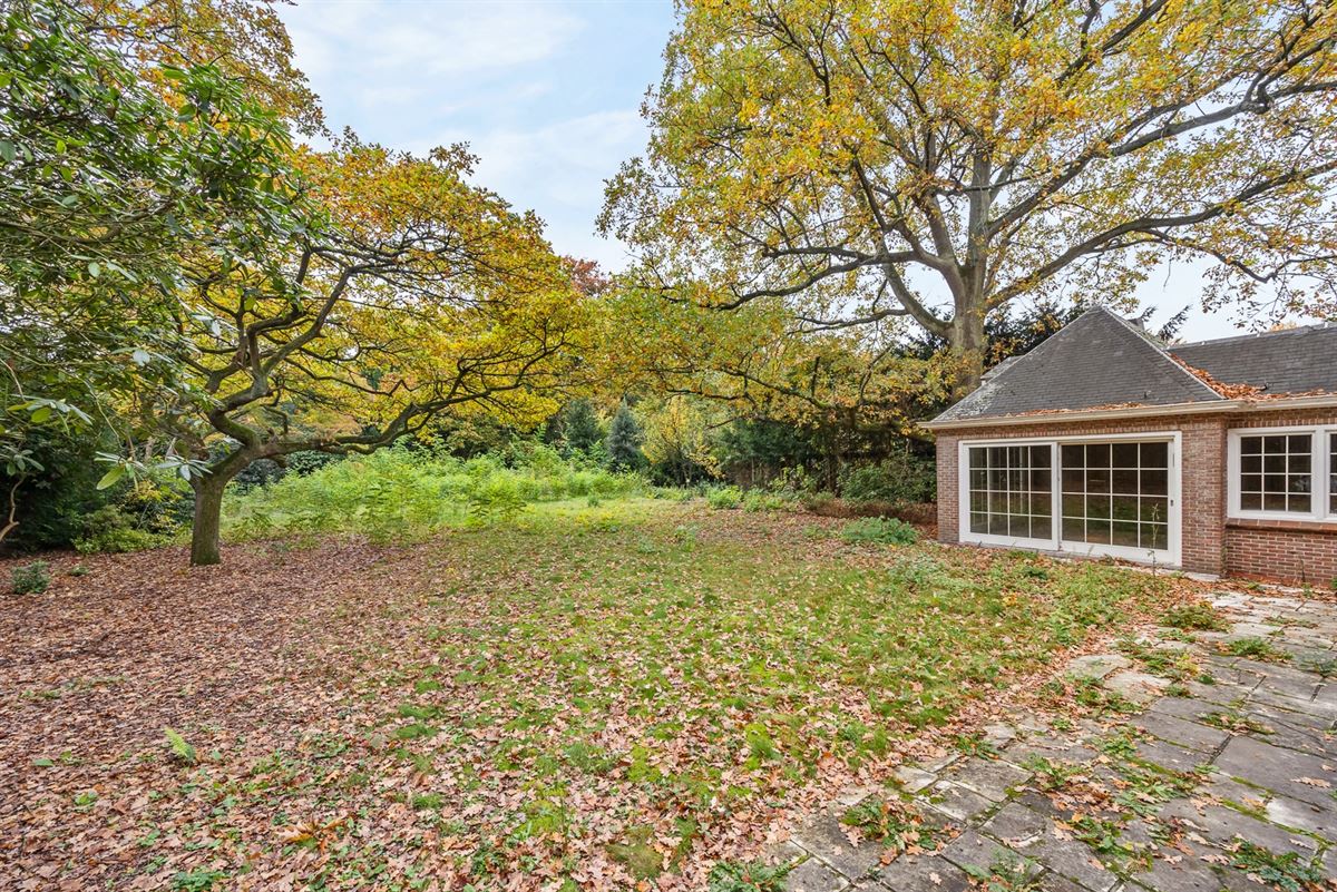 Karaktervolle Villa 1951 met Zuidwestgerichte Tuin