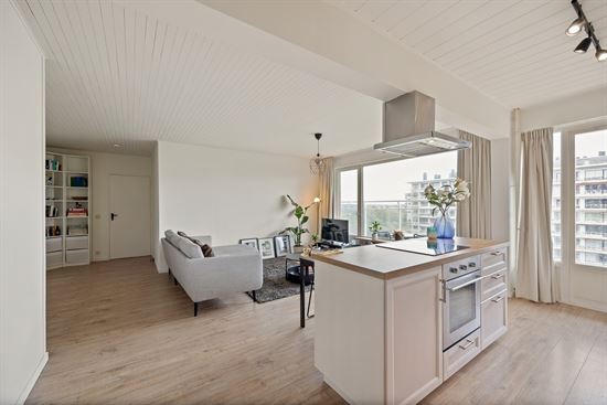 Lichtrijk Appartement met Panoramisch Uitzicht op Antwerpen