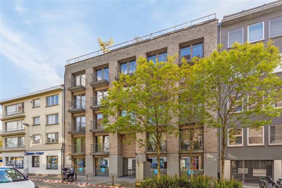 AAA locatie- kantoren in Kribbestraat 3, 2000 Antwerpen