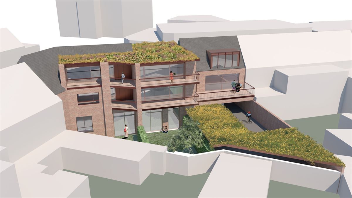 Vergund ontwikkelingsproject te Hemiksem