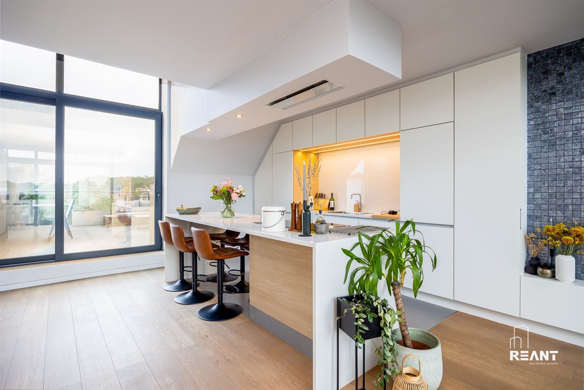 Lichtrijk duplexappartement met mezzanine en ruim terras.