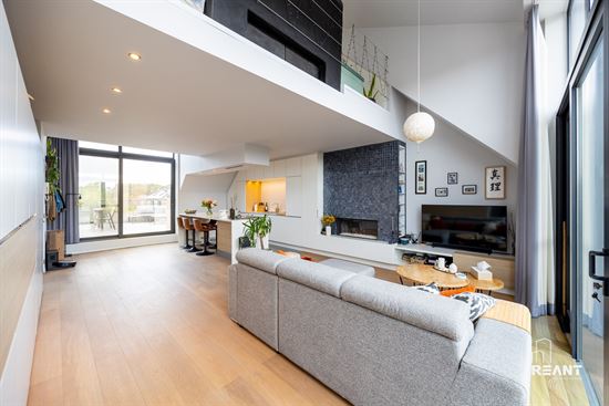 Lichtrijk duplexappartement met mezzanine en ruim terras.