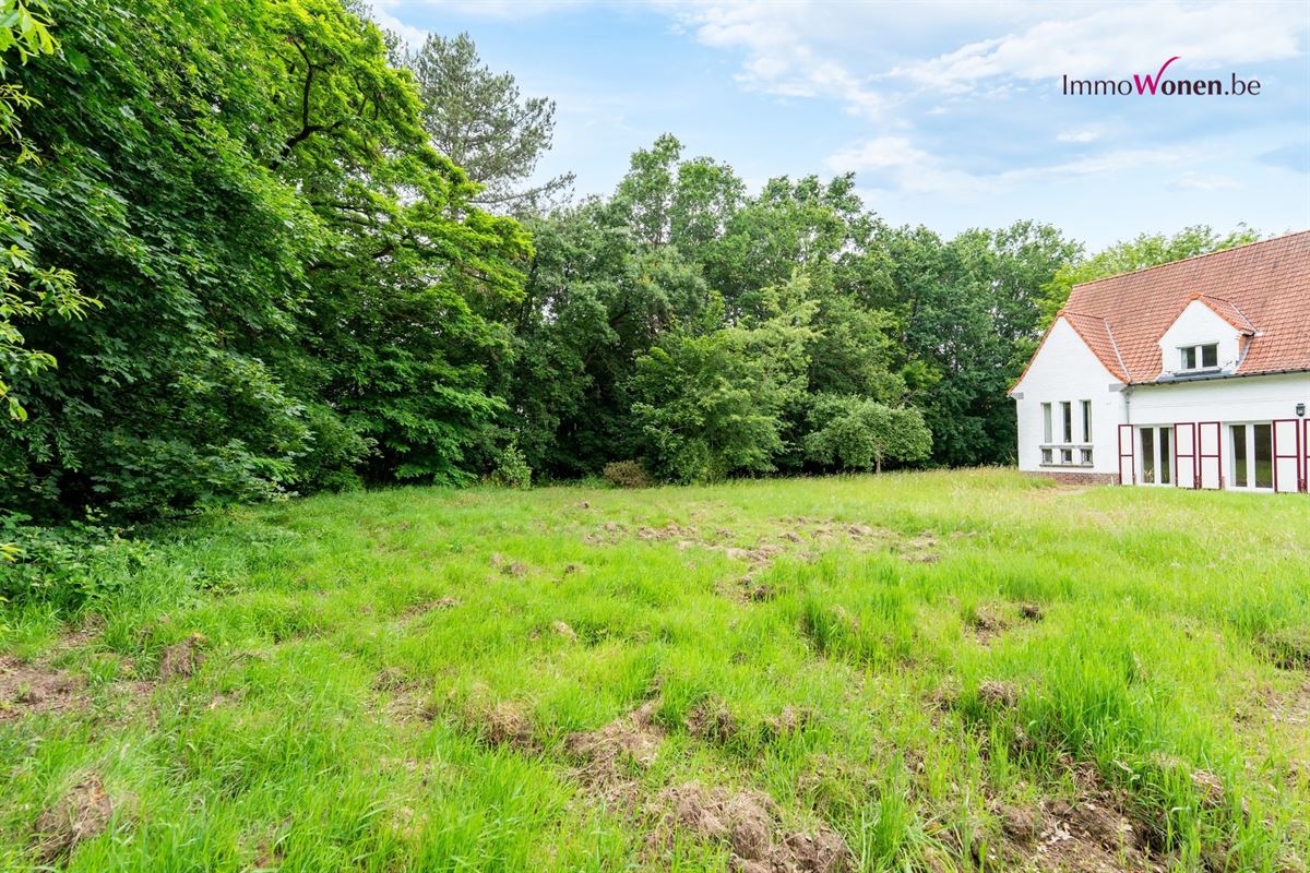 Image 31 : Villa in 3050 OUD-HEVERLEE (Belgium) - Price 995.000 &euro;