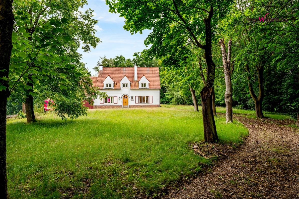 Image 24 : Villa in 3050 OUD-HEVERLEE (Belgium) - Price 995.000 &euro;