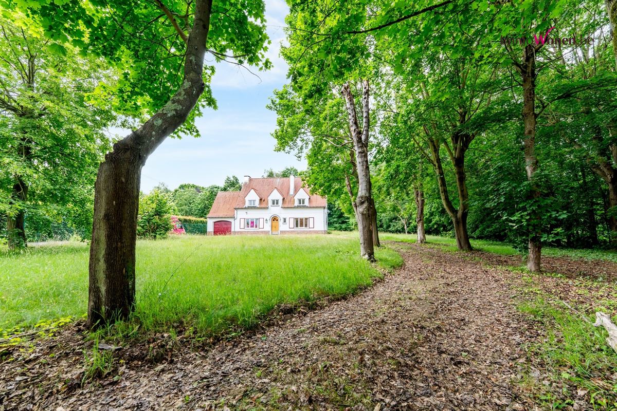 Image 48 : Villa à 3050 OUD-HEVERLEE (Belgique) - Prix 