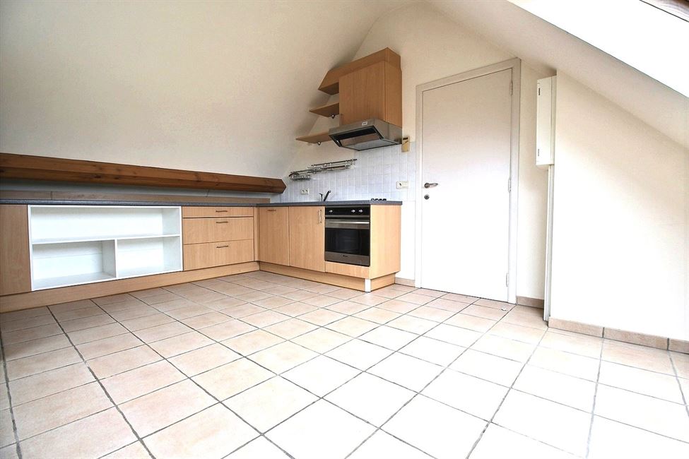 Loué ! Magnifique appartement 1 chambre