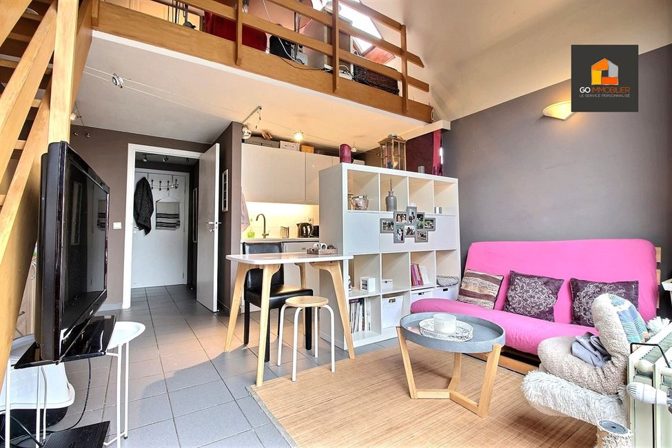 LOUE EN UNE SEMAINE !! Lumineux duplex avec terrasse et parking