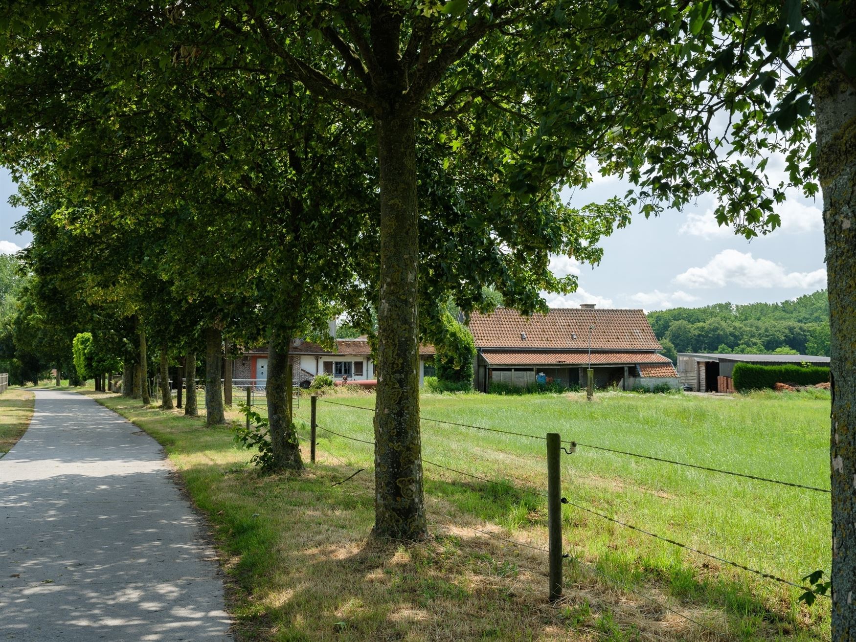 Op het grondgebied Bellem, maar net op de grens met Hansbeke: karaktervolle hoeve met weilanden, stallen en bijgebouw midden in agrarisch gebied. Rust...