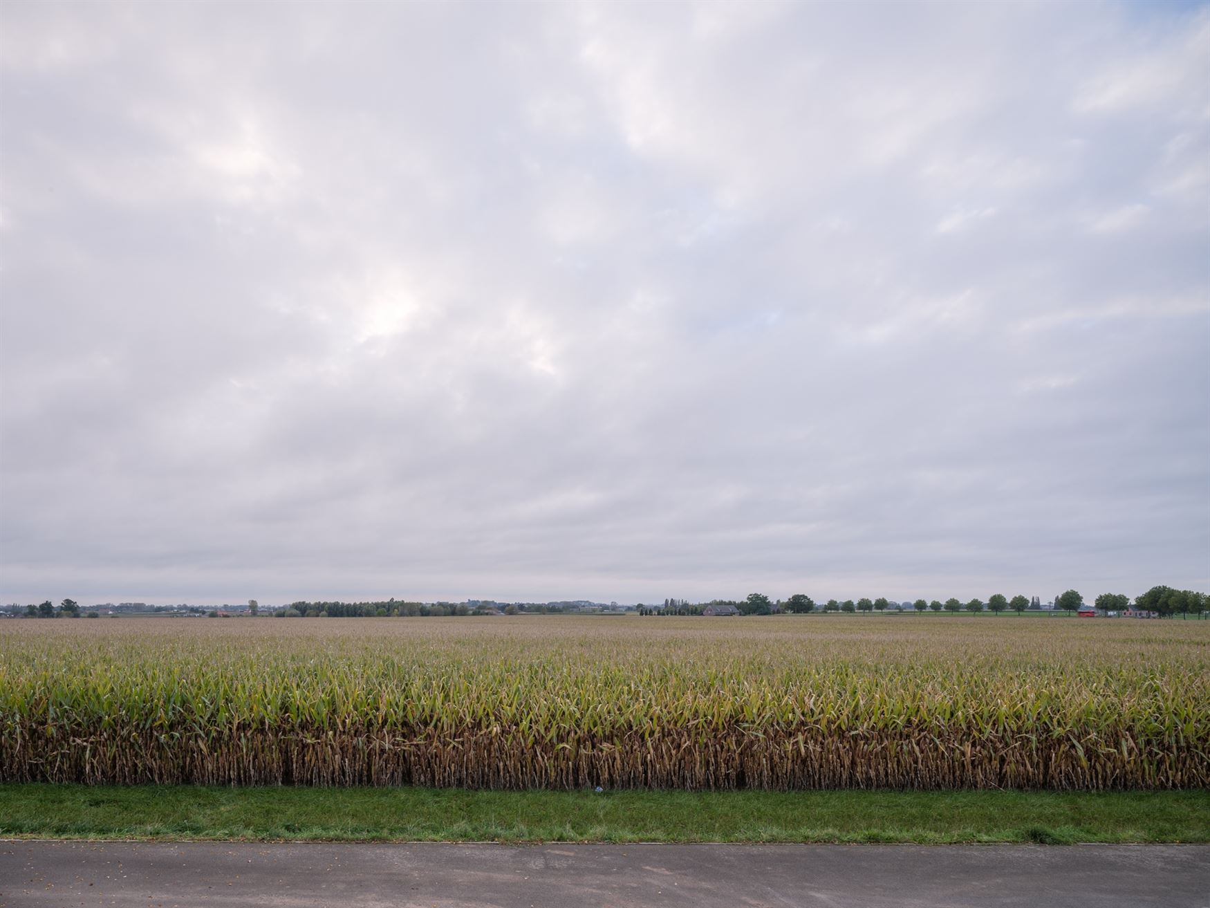 Prachtig landelijk gelegen, vlakbij de gezellige dorpskern Vinkt en op slechts 10 min. van Deinze-centrum.

Op het einde van een doodlopende straat ...