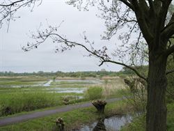 In een residentiële woonomgeving met zicht op het natuurreservaat de Bourgoyen.

Unieke locatie in Gent op slechts 10 min. fietsen van het historis...