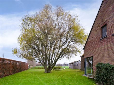 Iin een rustige straatje met weinig verkeer, met zicht op de omliggende weilanden.

Uiterst centraal gelegen: op slechts enkele minuten van Landegem...