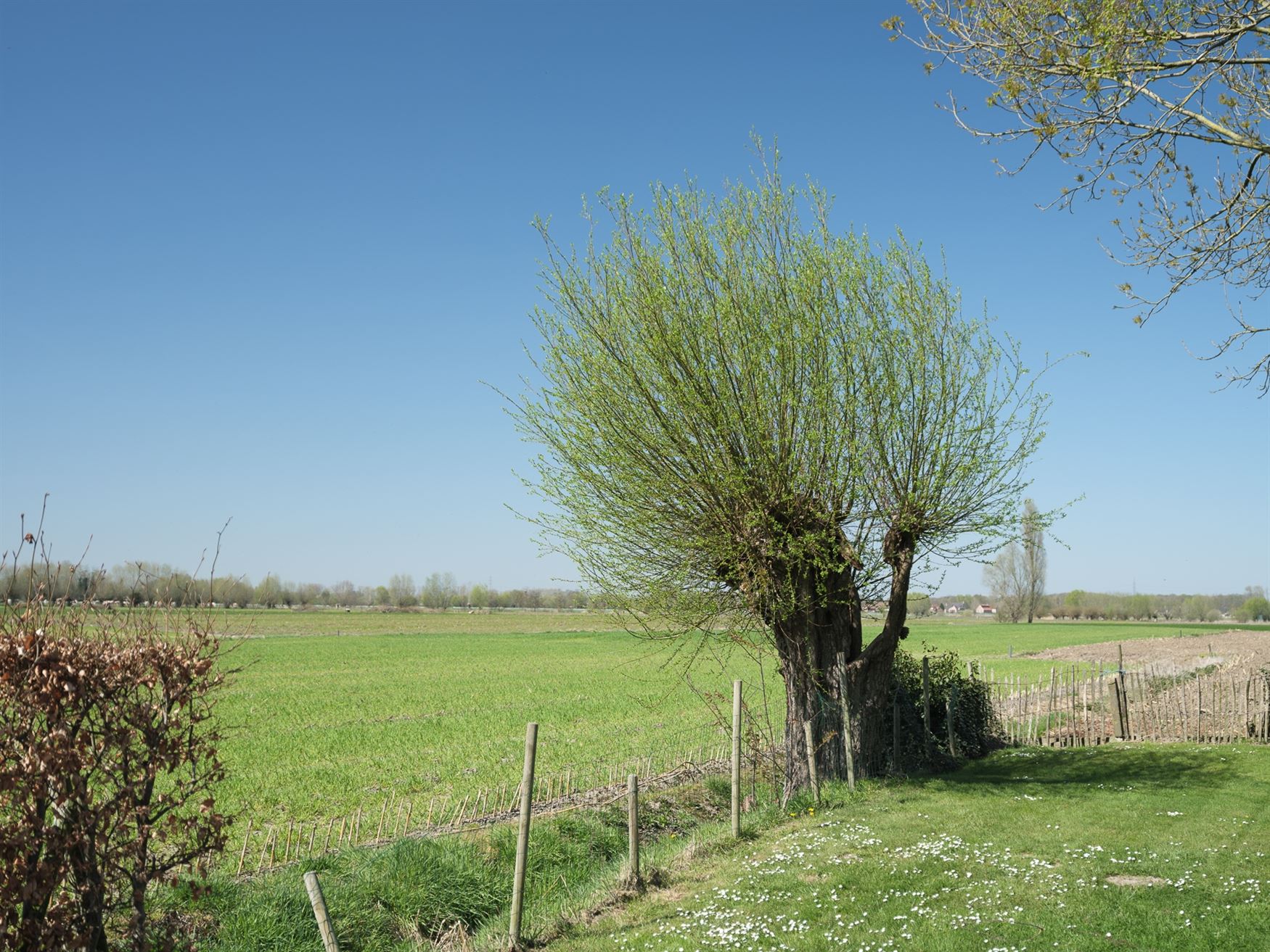 Bouw nu uw droomwoning op dit uitzonderlijke perceel van 2.280 m² in het rustige Zomergem. Met een breedte van 23 meter en bijna 100 meter diep en ge...