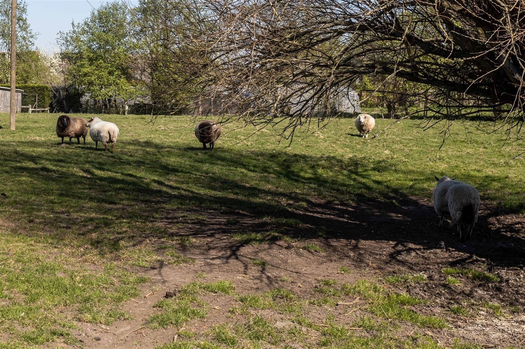 Houd je van landelijke vergezichten en ben je op zoek naar een rustgevende locatie om jouw woondroom te realiseren? Dan is dit een uitgelezen kans.
O...