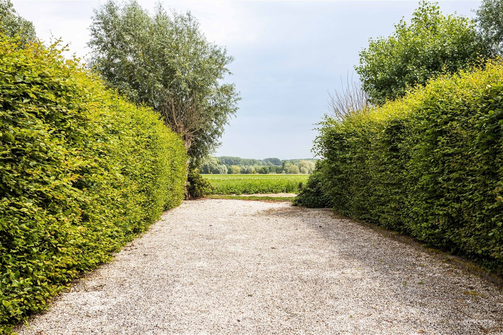 Het voormalige Armhuis van Asper, werd in 1863 opgericht en is een uniek stuk erfgoed met een rijke geschiedenis.
Bijzondere eigendom op een riant pe...