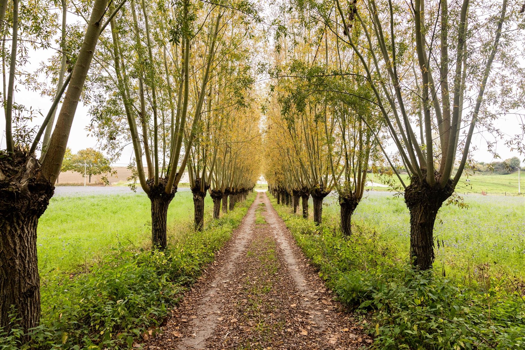 Een karaktervolle watermolen op een uitgestrekt domein van 17.025 m², idyllisch gelegen aan de Oossebeek, in een landelijke en groene omgeving. 
Dez...