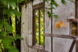 Een karaktervolle watermolen op een uitgestrekt domein van 17.025 m², idyllisch gelegen aan de Oossebeek, in een landelijke en groene omgeving. 
Dez...