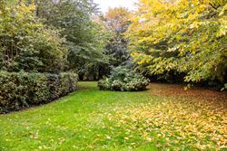 Een karaktervolle watermolen op een uitgestrekt domein van 17.025 m², idyllisch gelegen aan de Oossebeek, in een landelijke en groene omgeving. 
Dez...