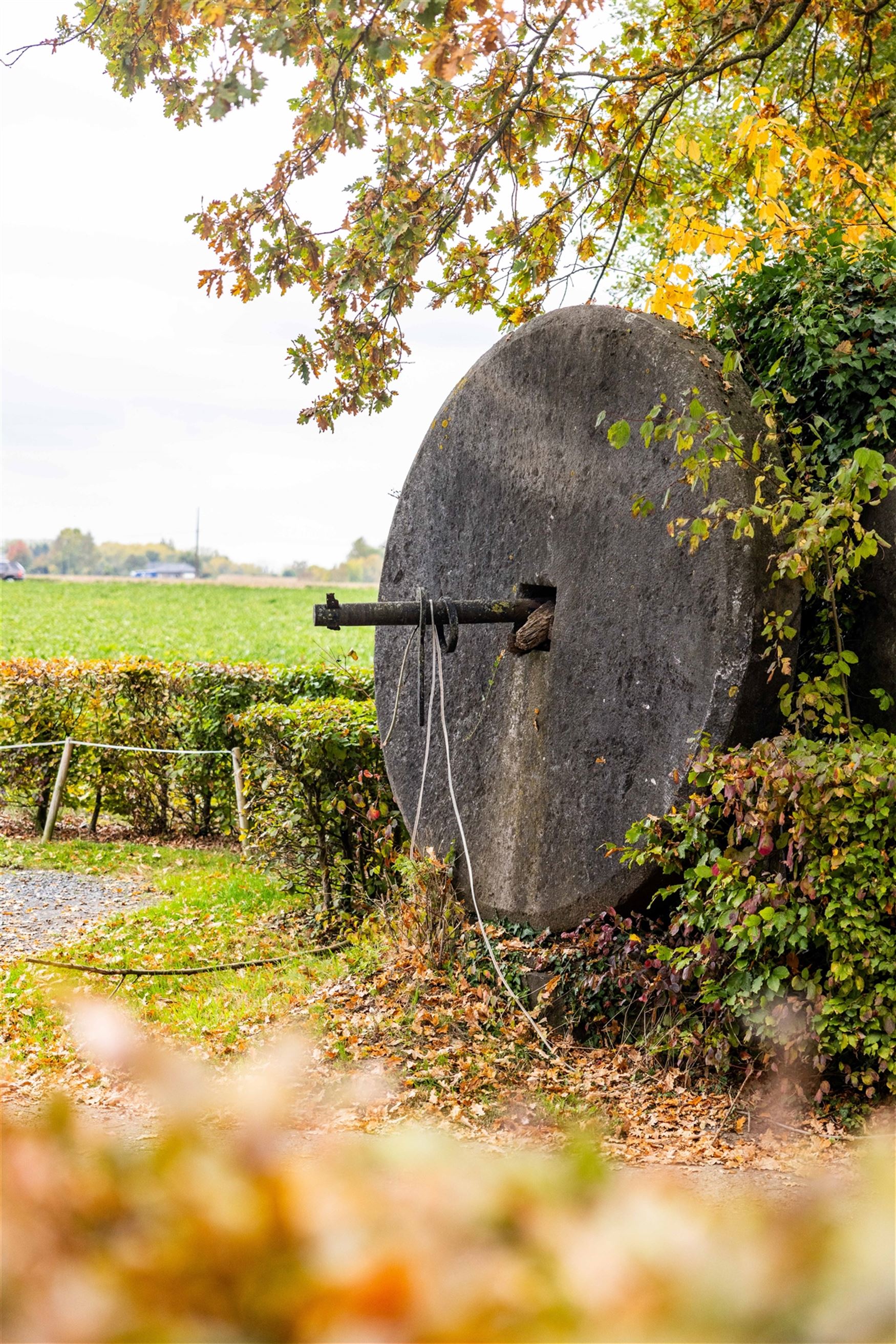 Een karaktervolle watermolen op een uitgestrekt domein van 17.025 m², idyllisch gelegen aan de Oossebeek, in een landelijke en groene omgeving. 
Dez...
