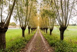 Een karaktervolle watermolen op een uitgestrekt domein van 17.025 m², idyllisch gelegen aan de Oossebeek, in een landelijke en groene omgeving. 
Dez...