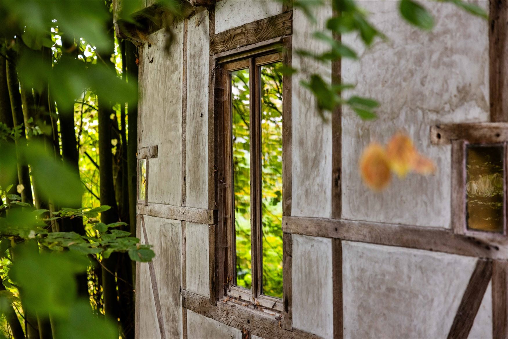 Een karaktervolle watermolen op een uitgestrekt domein van 17.025 m², idyllisch gelegen aan de Oossebeek, in een landelijke en groene omgeving. 
Dez...