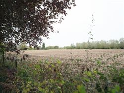 Ontdek deze uitzonderlijk charmante Franse villa in de rustige en residentiële Opperhofstraat in Drongen, op slechts enkele passen van het idyllische...