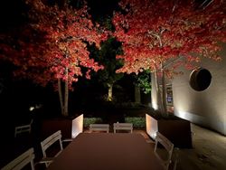 Welkom in deze stijlvol gerenoveerde en volledig instapklare woning op een perceel van 1.583 m², in het hart van Bottelare aan de poort van de Vlaams...