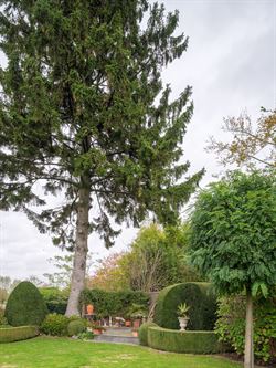 Ontdek deze uitzonderlijk charmante Franse villa in de rustige en residentiële Opperhofstraat in Drongen, op slechts enkele passen van het idyllische...