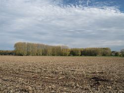 Welkom in deze stijlvol gerenoveerde en volledig instapklare woning op een perceel van 1.583 m², in het hart van Bottelare aan de poort van de Vlaams...
