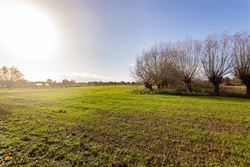 Deze charmante bungalow in Nazareth biedt een uitzonderlijke combinatie van rust, ruimte en potentieel. Dankzij de zeer goede indeling, de overvloed a...