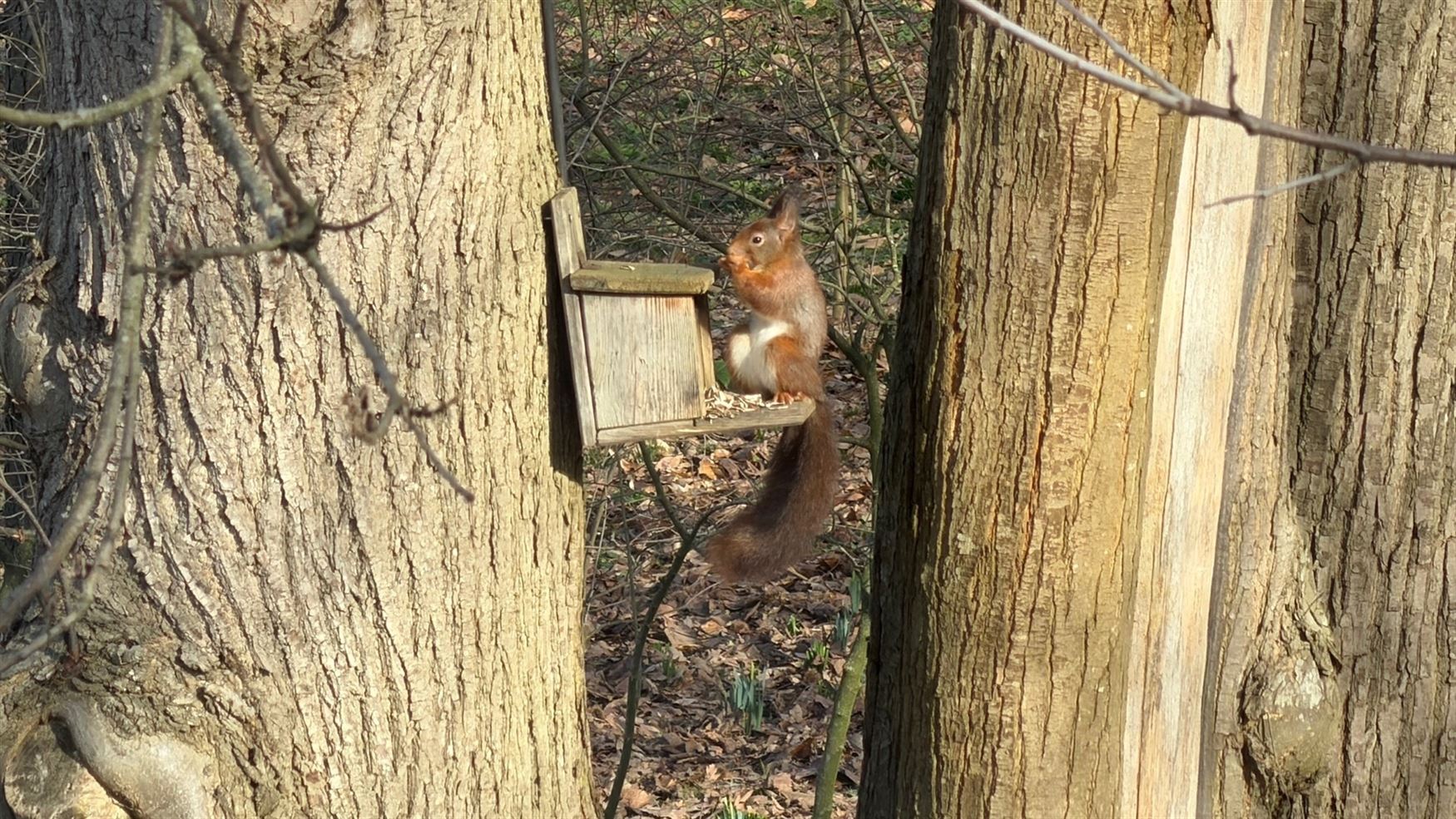 Gelegen in een residentiële bosrijke villawijk (één van de meest gegeerde en exclusieve woonzones uit de regio) en in een bijzonder rustige woonomg...