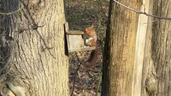 Gelegen in een residentiële bosrijke villawijk (één van de meest gegeerde en exclusieve woonzones uit de regio) en in een bijzonder rustige woonomg...