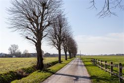 Droomt u van het bouwen van uw eigen woning op een rustige locatie met een landelijk karakter? Dan is dit perceel in de Priesteragiestraat in Sint-Baa...