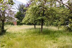 VIVE in Wondelgem verkoopt stevig door. Intussen is al 60% van het project verkocht.
6% btw mogelijk - oplevering voorjaar 2027.

Dit project van a...