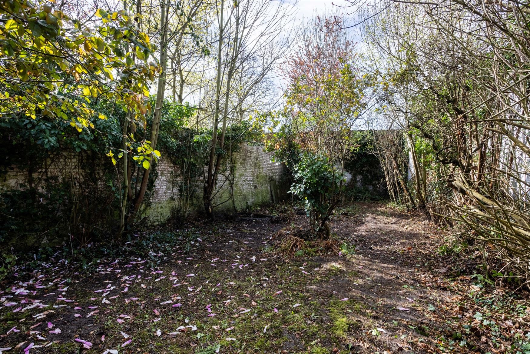 In de gegeerde buurt rond het Miljoenenkwartier in Gent ligt deze karaktervolle stadswoning met zuidgerichte tuin. Een zeldzame kans voor wie op zoek ...
