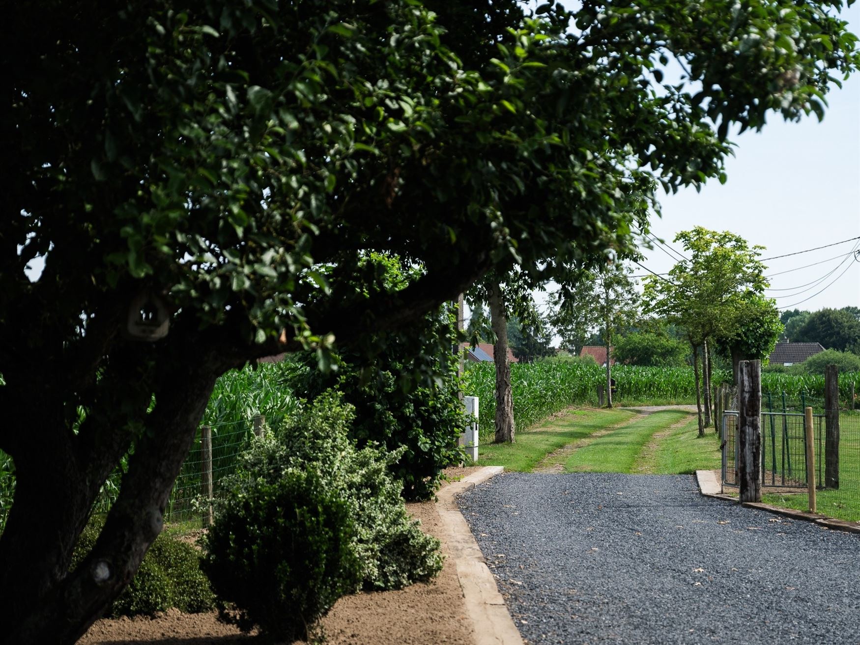 Verborgen tussen de weilanden, bereikbaar via een private oprijlaan en omgeven door rust, ligt deze unieke farmhouse op een uitzonderlijk perceel van ...