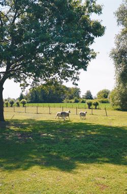Verborgen tussen de weilanden, bereikbaar via een private oprijlaan en omgeven door rust, ligt deze unieke farmhouse op een uitzonderlijk perceel van ...