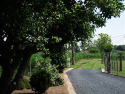 Verborgen tussen de weilanden, bereikbaar via een private oprijlaan en omgeven door rust, ligt deze unieke farmhouse op een uitzonderlijk perceel van ...