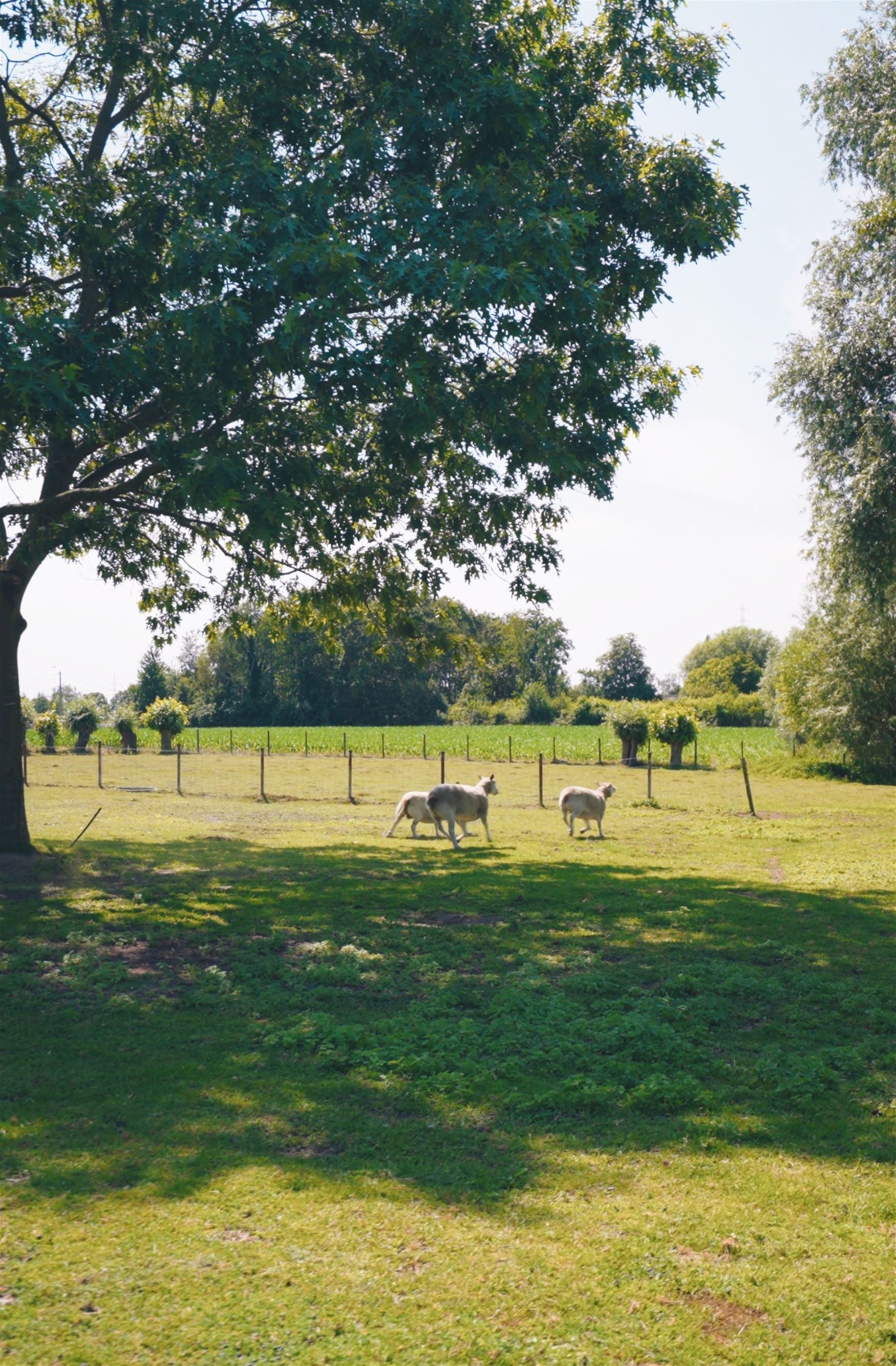 Verborgen tussen de weilanden, bereikbaar via een private oprijlaan en omgeven door rust, ligt deze unieke farmhouse op een uitzonderlijk perceel van ...