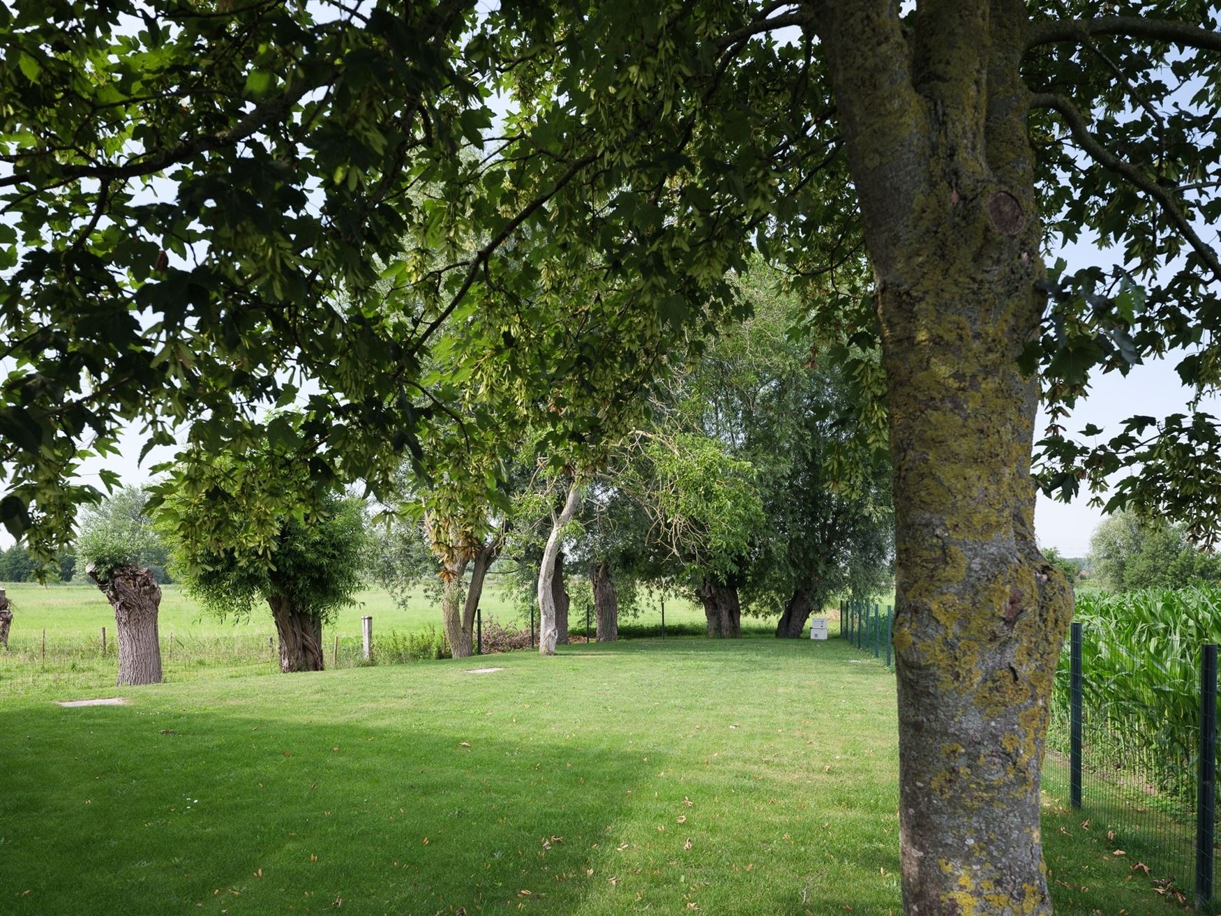 Verborgen tussen de weilanden, bereikbaar via een private oprijlaan en omgeven door rust, ligt deze unieke farmhouse op een uitzonderlijk perceel van ...