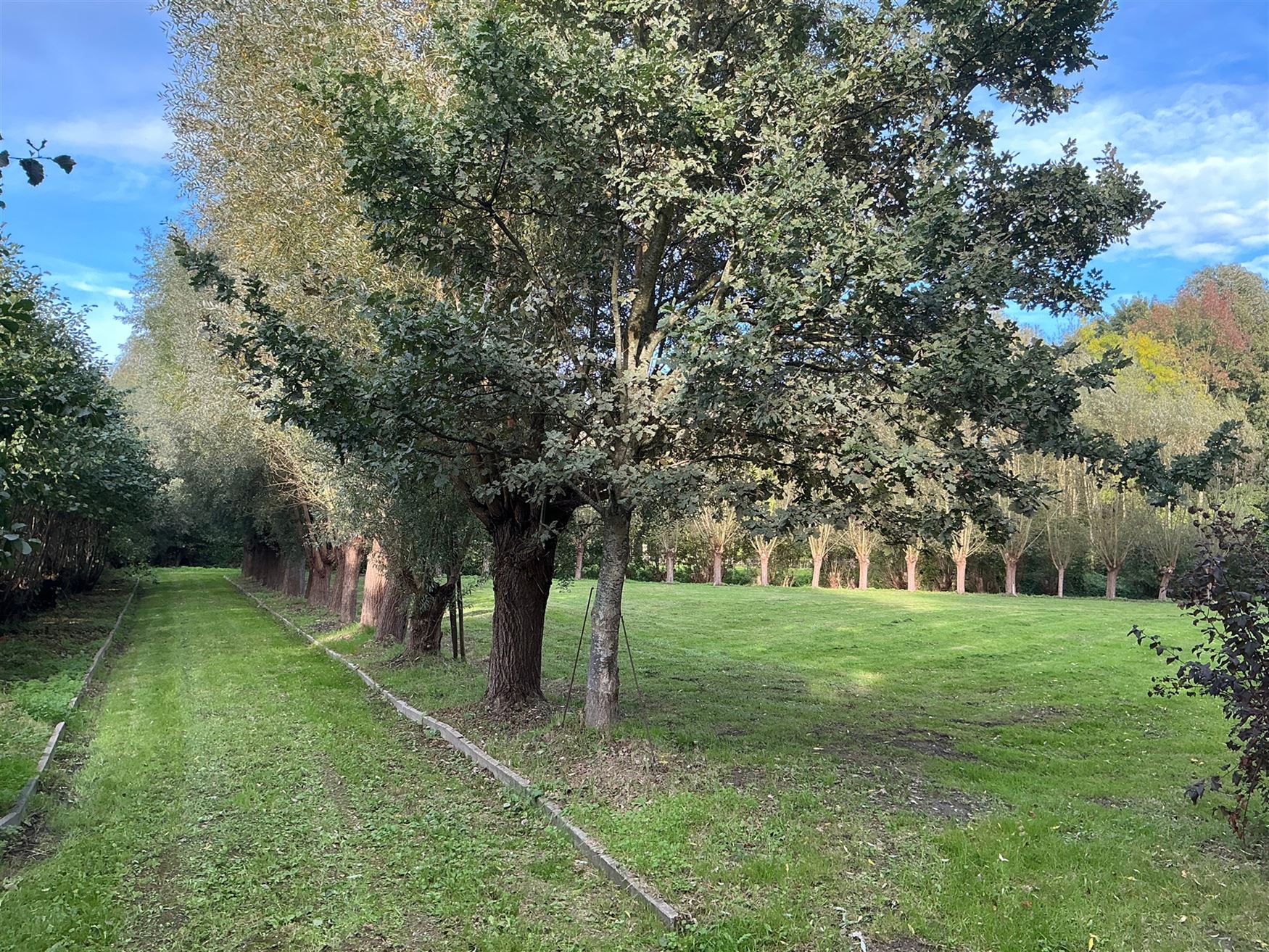 Een loods midden in het groen. Geen inkijk, geen drukte, wél ruimte. Op het einde van een doodlopend straatje ligt deze uitzonderlijke bedrijfssite. ...
