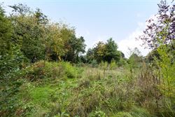 Groot denken begint hier.

In Eke wacht een domein van maar liefst 4.123 m² met een eigen bos. De bestaande villa is bestemd voor afbraak. Wat volg...