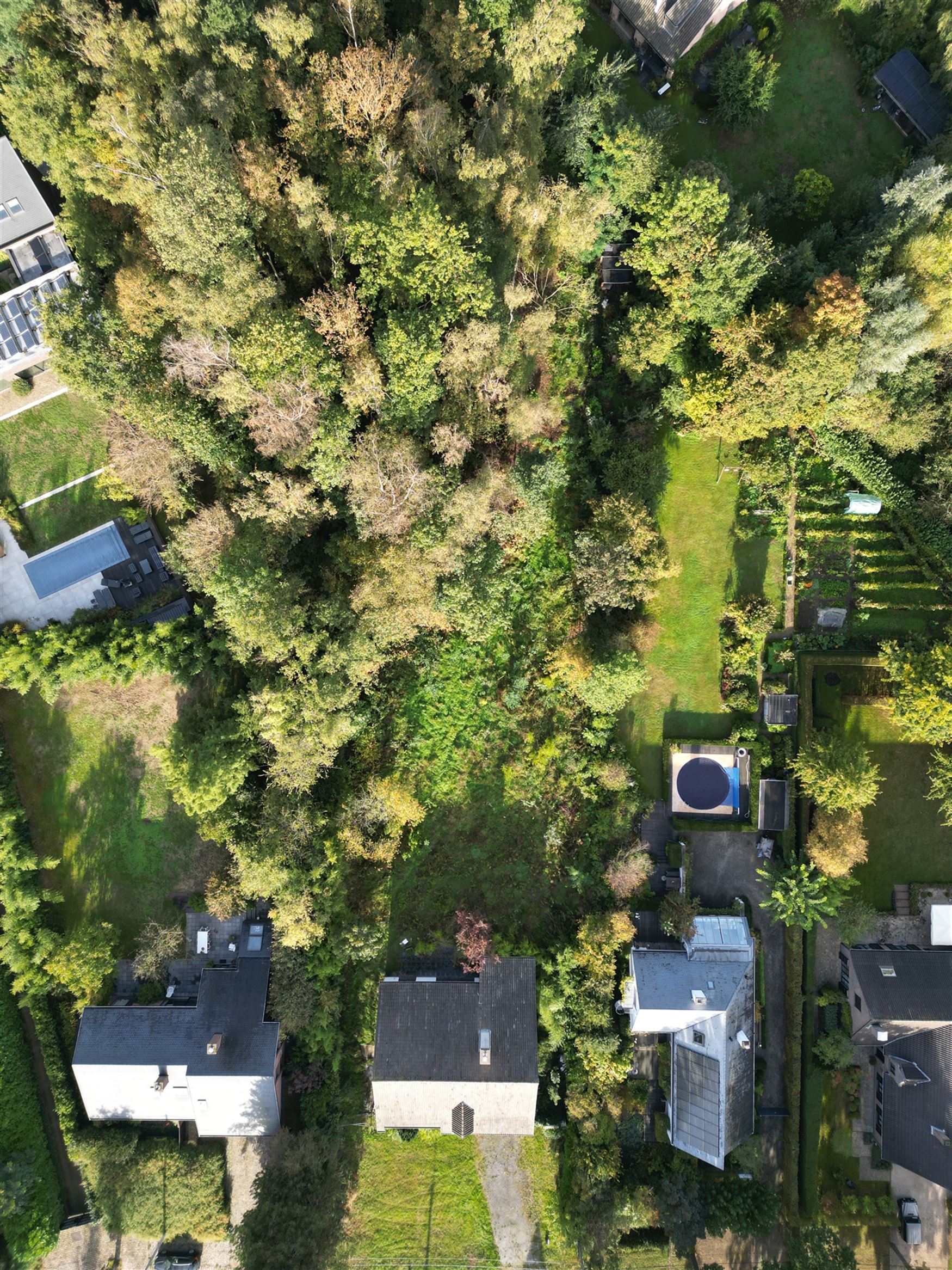 Groot denken begint hier.

In Eke wacht een domein van maar liefst 4.123 m² met een eigen bos. De bestaande villa is bestemd voor afbraak. Wat volg...