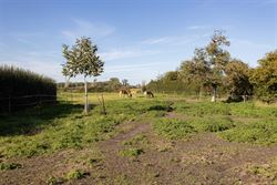Sommige kansen komen maar één keer voorbij. En dit zou weleens zo’n kans kunnen zijn.

In het landelijke Hoetsel in Zomergem wacht een domein da...